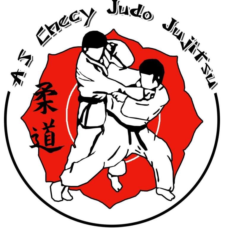Logo AS CHECY JUDO